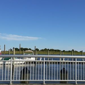 Meet your Posher, Indira